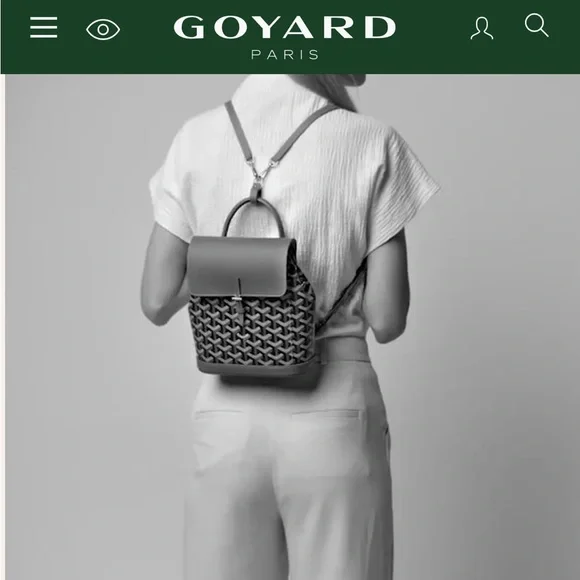 Goyard Alpin Mini backpack - Picture 16 of 17